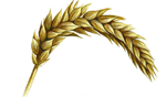Mtiers de l'agriculture