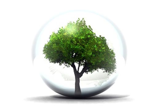 Mtiers de l'environnement et du dveloppement durable